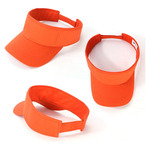 Visor